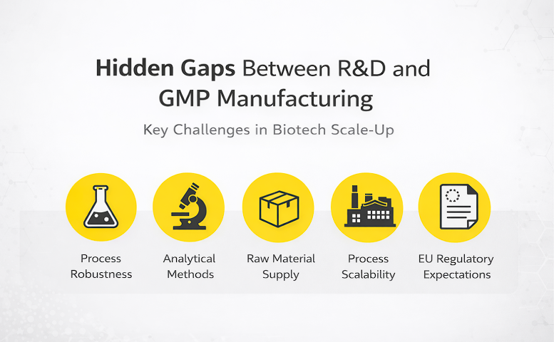 Hidden Gaps between R & D and GMP Manufacturing - Yallow LifeScience
