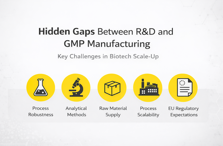 Hidden Gaps between R & D and GMP Manufacturing - Yallow LifeScience