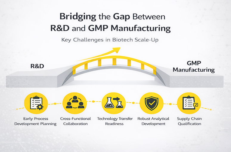 Bridging Gap between R&D and GMP Manufacturing - Yallow LifeScience